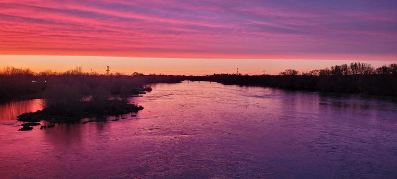 Апартаменти Sur Les Bords De Loire Монлуї-сюр-Луар Екстер'єр фото